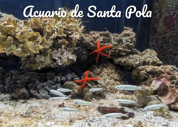 Best Holiday Santa Pola