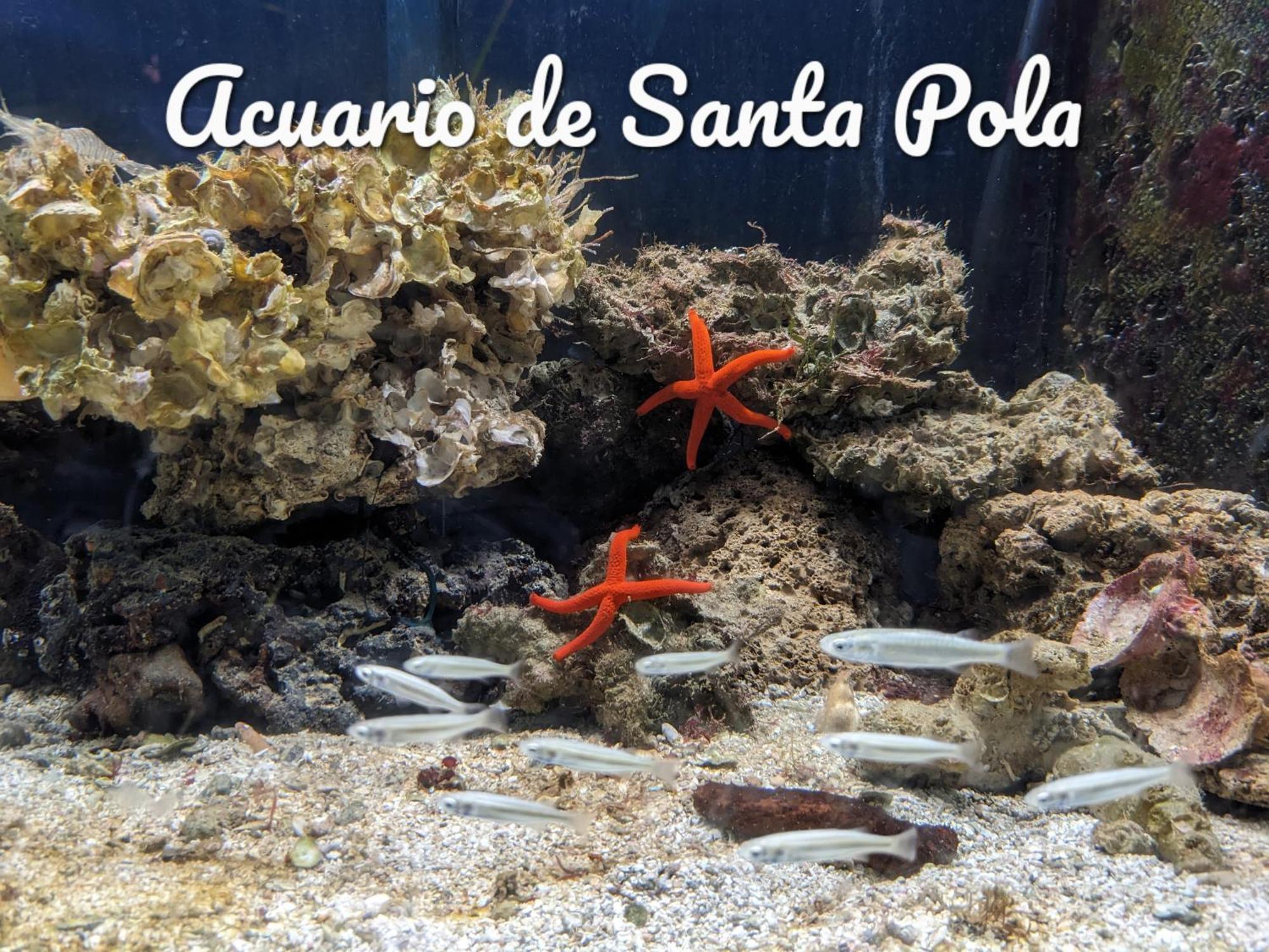 Apartment Best Holiday Santa Pola